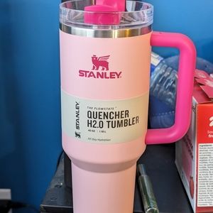 40 oz Pink Flamingo Stanley